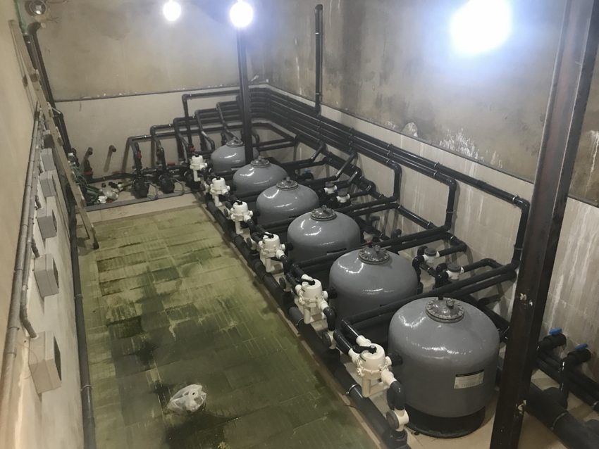 Swimming pool equipment room with multiple filters and connected pipework